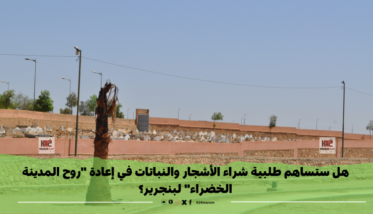 هل ستساهم طلبية شراء الأشجار والنباتات في إعادة "روح المدينة الخضراء" لبنجرير؟