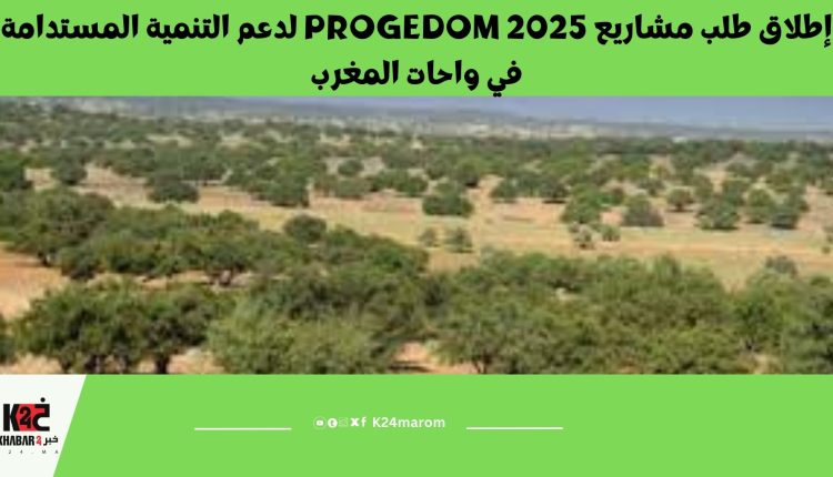 إطلاق طلب مشاريع