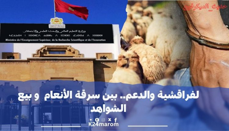 لفراقشية والدعم