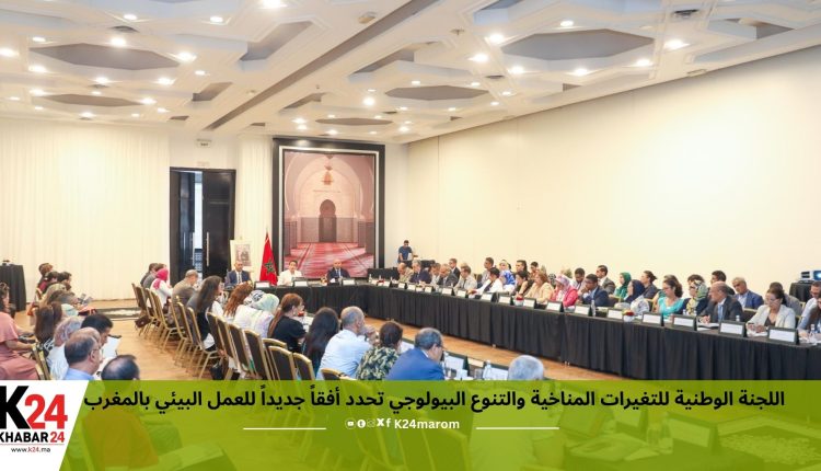 اللجنة الوطنية للتغيرات