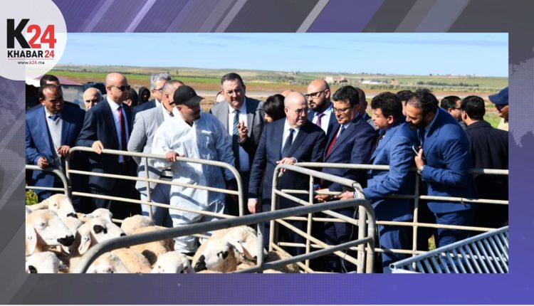 بعد سخاء السماء… زيارة وزارية تُنقذ القطيع وتُحيي الصبار ببوشان