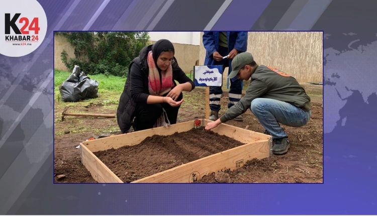 الضيعة الإيكولوجية… حين تلتقي المدرسة بالتنمية المستدامة