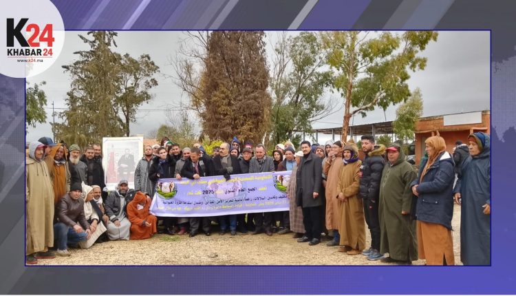 تعاونية السلالة الصفراء ترسم ملامح برنامج عمل لتعزيز القطيع الوطني