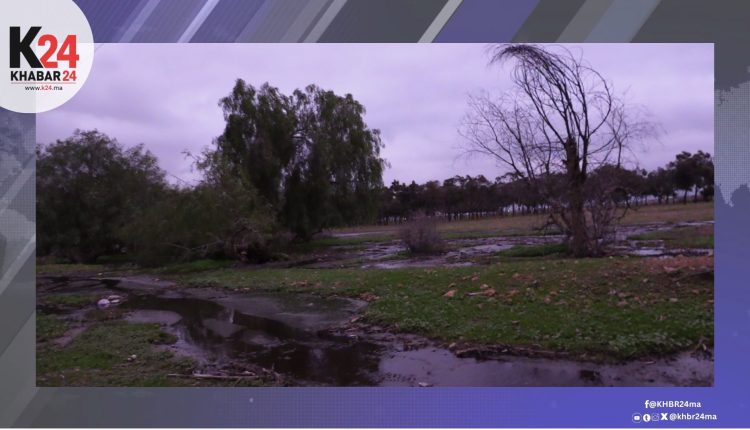 بين التاريخ وتحديات المناخ.. جمعية بيئية بالرحامنة تطلق 'نداء الاستدامة'