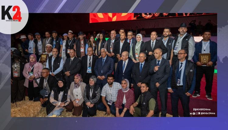 237 كساباً يتنافسون لانتقاء أجود سلالات الماشية بمكناس