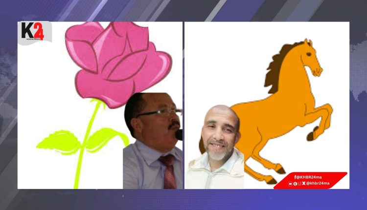 بين حمامة تطير وحصان يتوقف… تتفتح الورود في الرحامنة