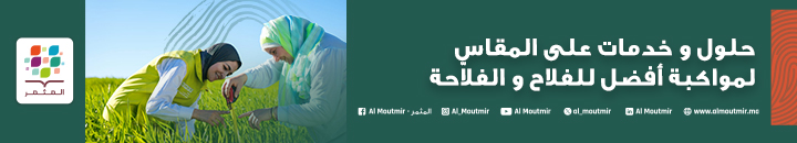 banner ocp